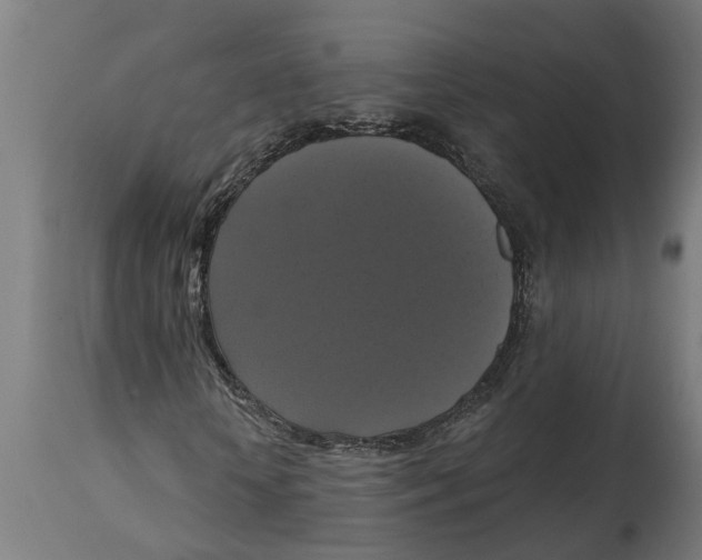 X0000114720818200911181402