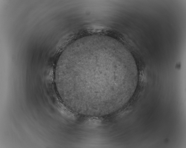 X0000114720820200911181402