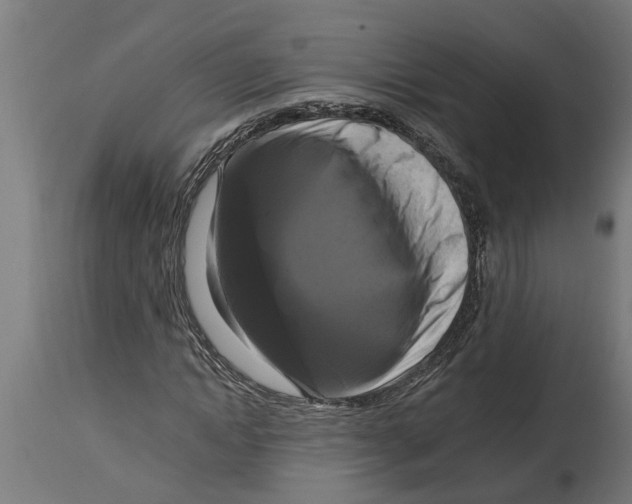 X0000114720822200911181402