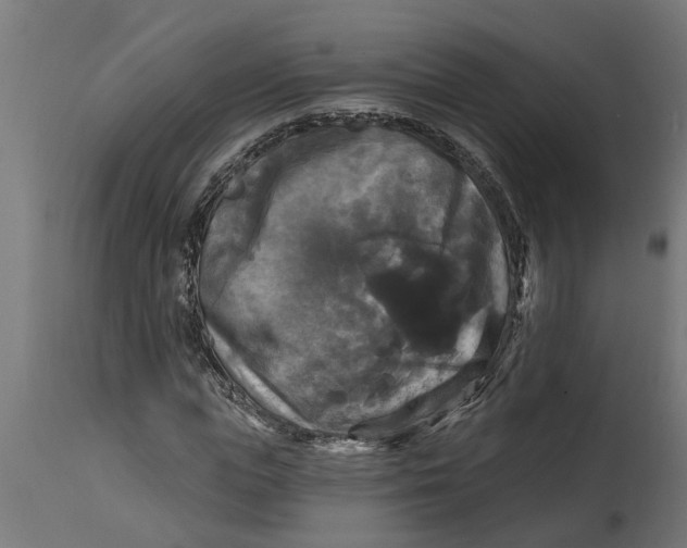 X0000114720823200911181402