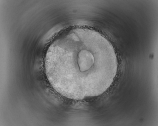 X0000114720824200911181402