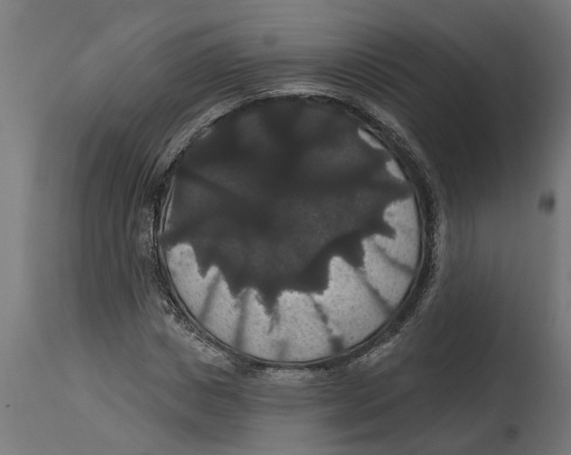 X0000114720825200911181402