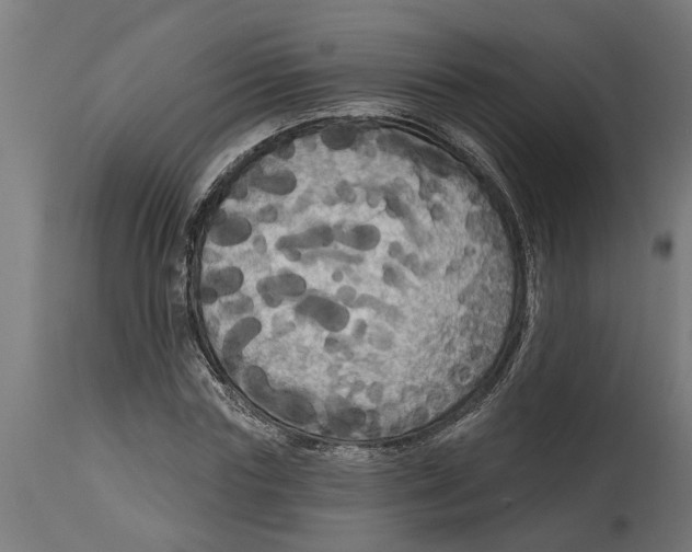 X0000114720827200911181402