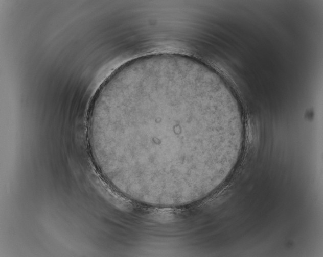 X0000114720828200911181402