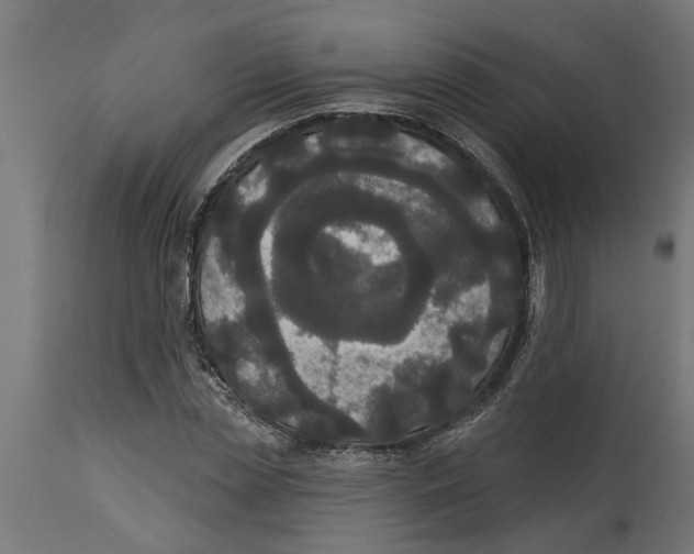 X0000114720829200911181402