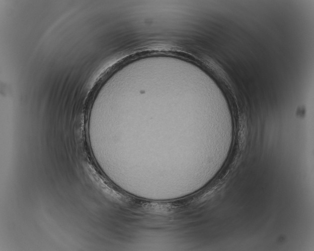 X0000114720831200911181402