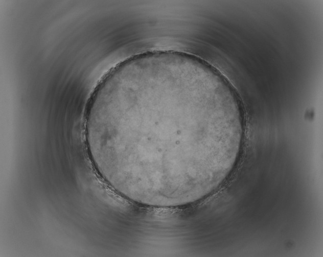 X0000114720832200911181402