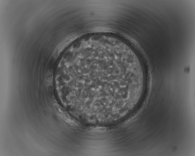 X0000114720833200911181402