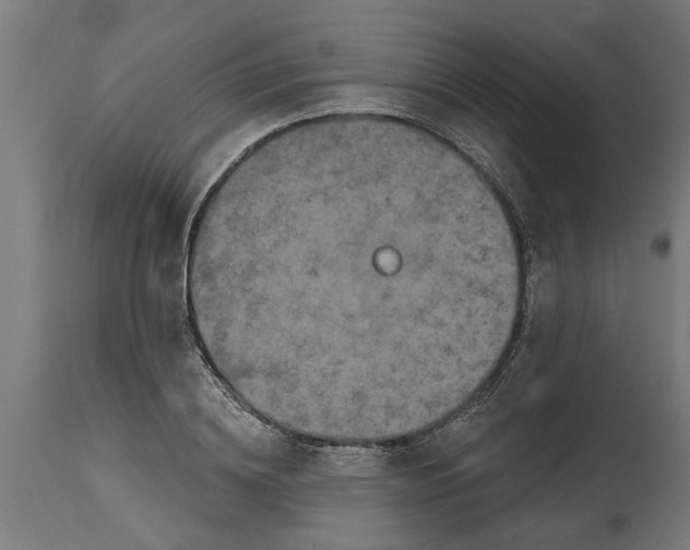 X0000114720836200911181402