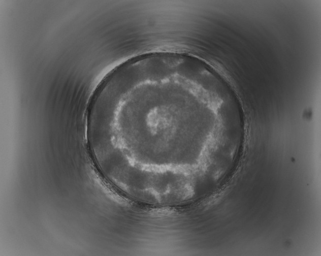 X0000114720838200911181402