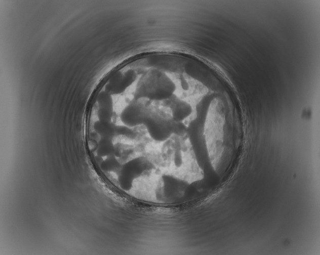 X0000114720839200911181402