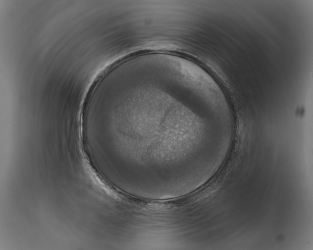 X0000114720840200911181402