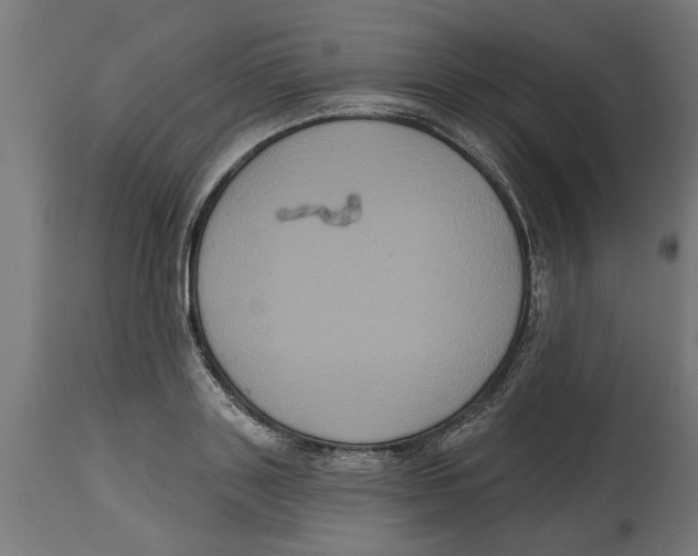 X0000114720843200911181402