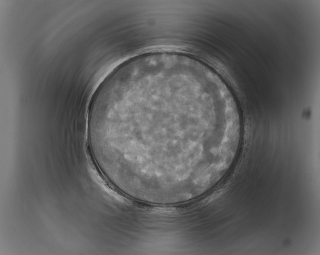 X0000114720844200911181402