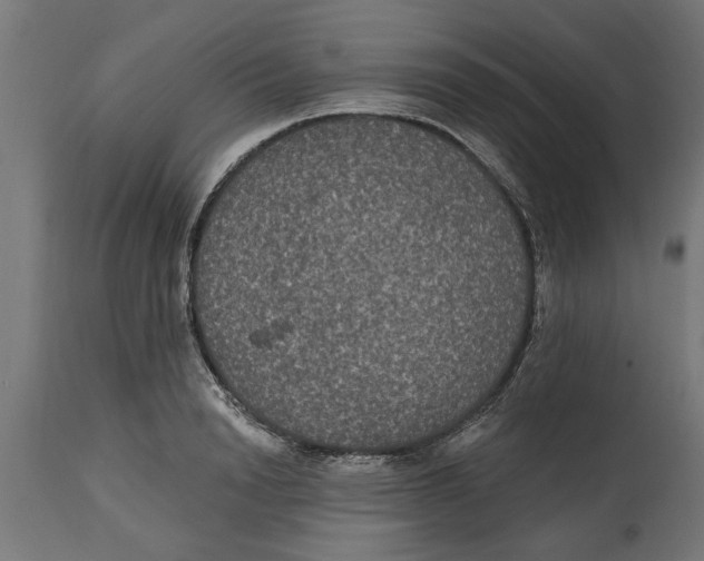 X0000114720846200911181402