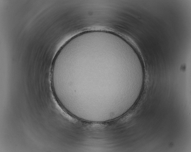 X0000114720847200911181402