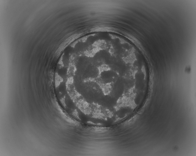 X0000114720849200911181402