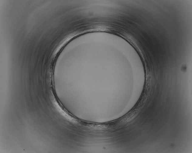 X0000114720851200911181402