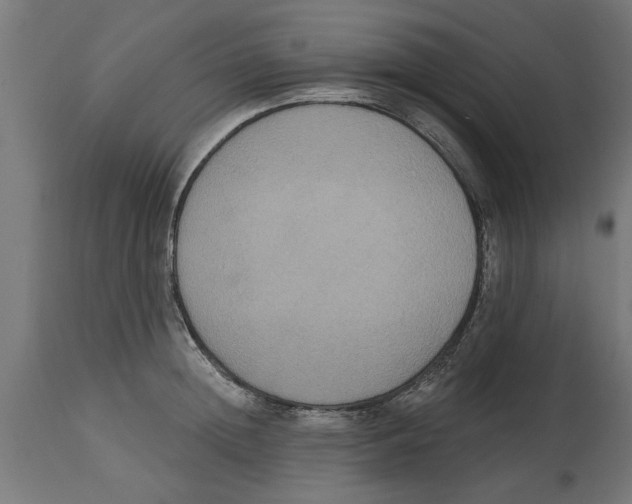 X0000114720852200911181402