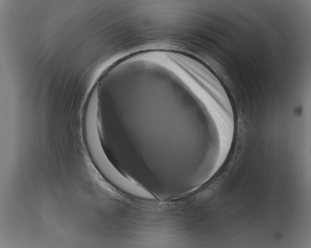 X0000114720854200911181402