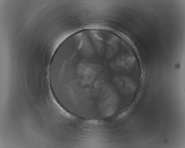 X0000114720855200911181402