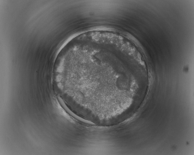 X0000114720860200911181403