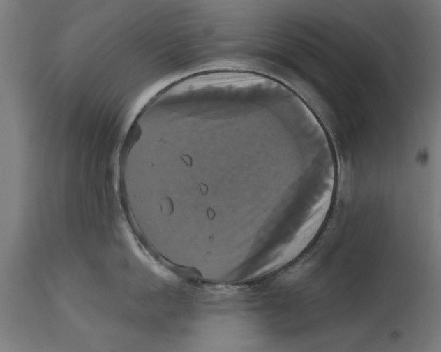 X0000114720862200911181403