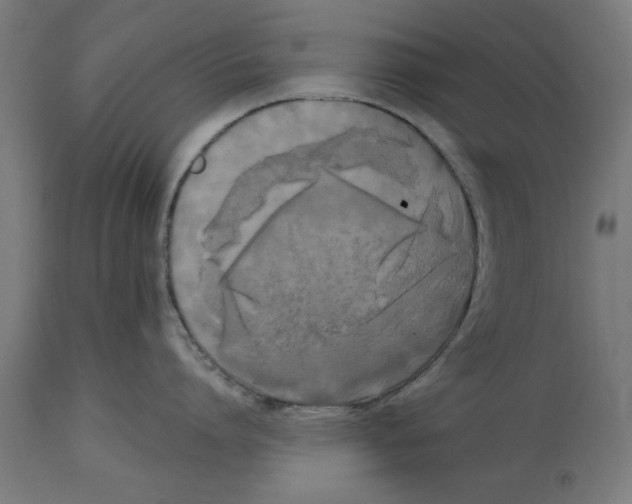 X0000114720864200911181403