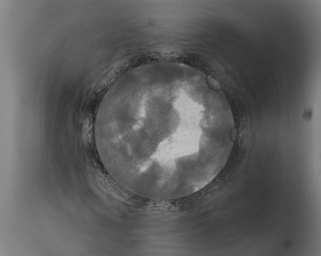 X0000114720866200911181402