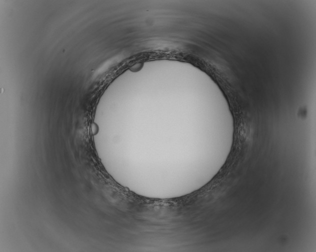 X0000114720869200911181402