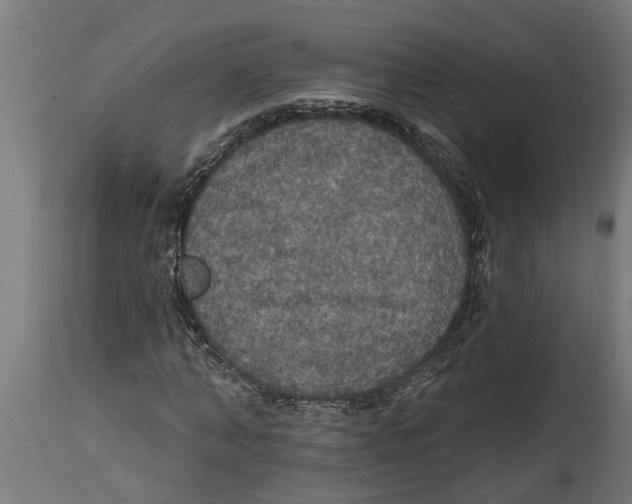 X0000114720870200911181402