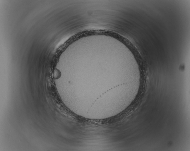 X0000114720871200911181402