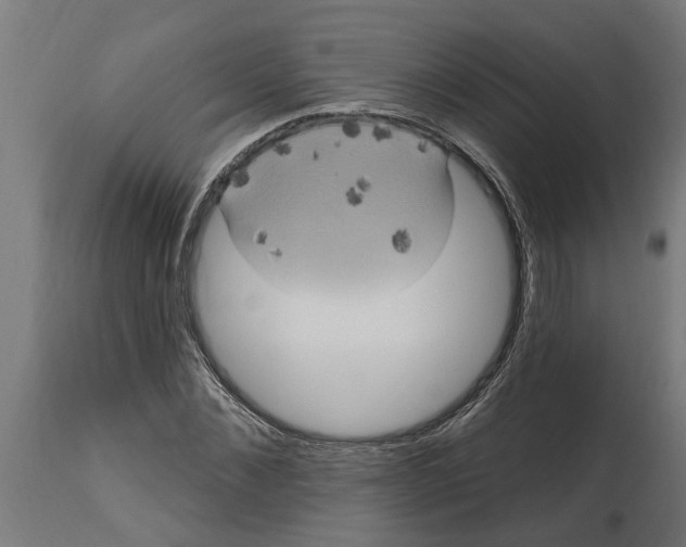 X0000114720876200911181402