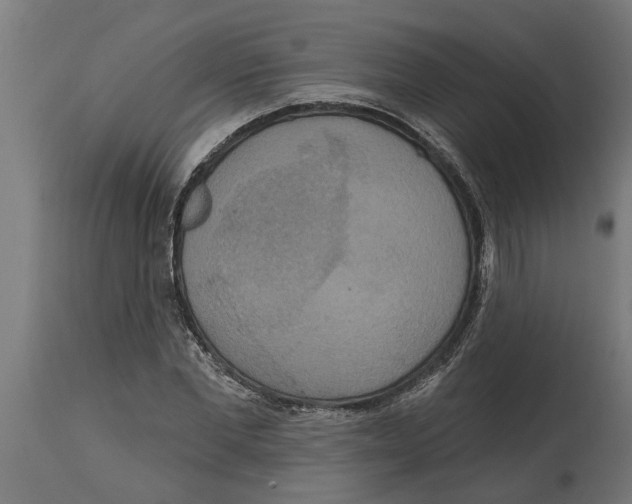 X0000114720877200911181402