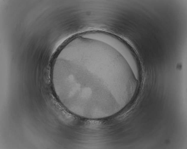 X0000114720878200911181402