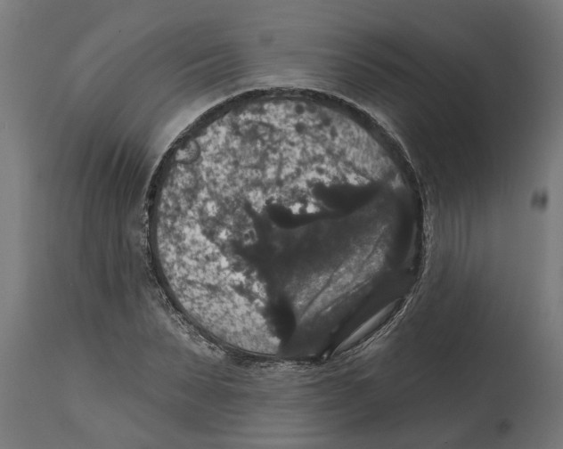 X0000114720879200911181402