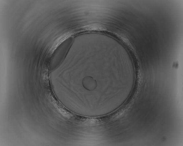 X0000114720881200911181402