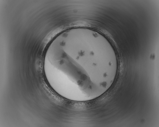 X0000114720882200911181402