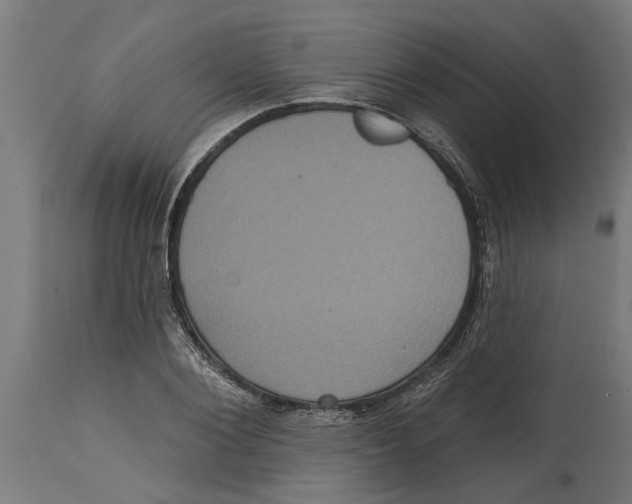 X0000114720884200911181402