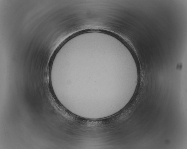 X0000114720887200911181402