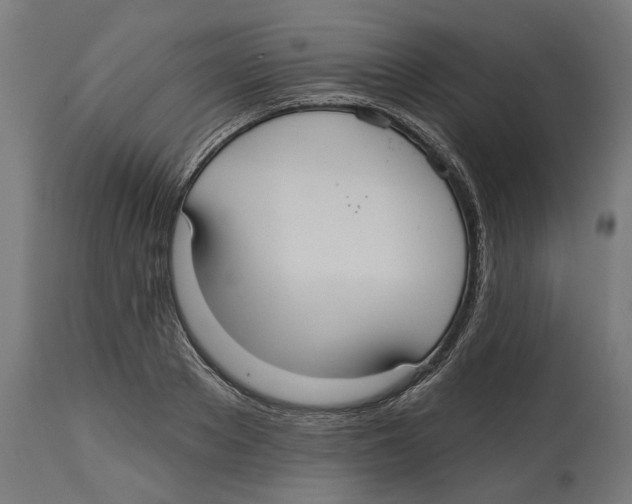 X0000114720889200911181402