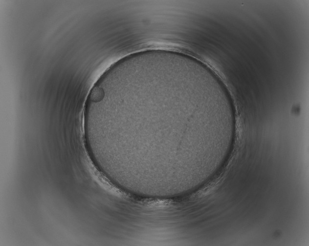 X0000114720891200911181401