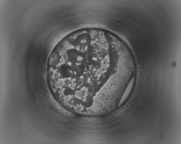 X0000114720895200911181401