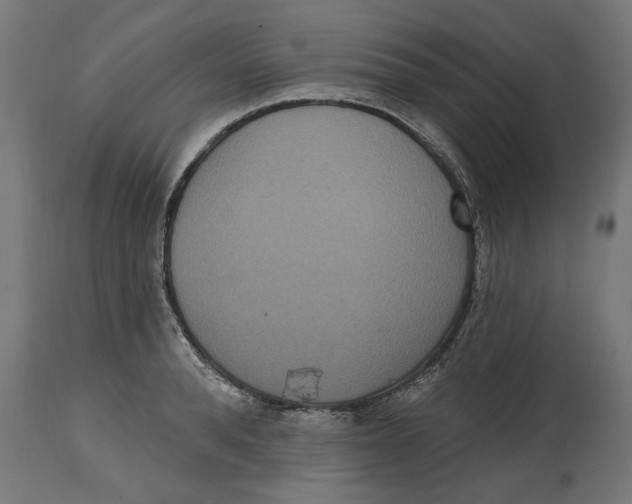 X0000114720896200911181401