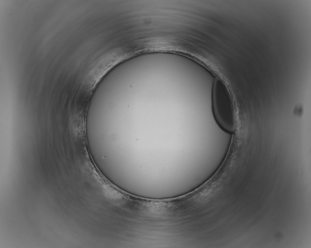 X0000114720897200911181401