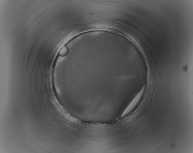 X0000114720899200911181401