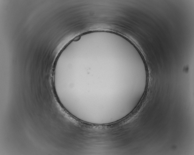 X0000114720901200911181401