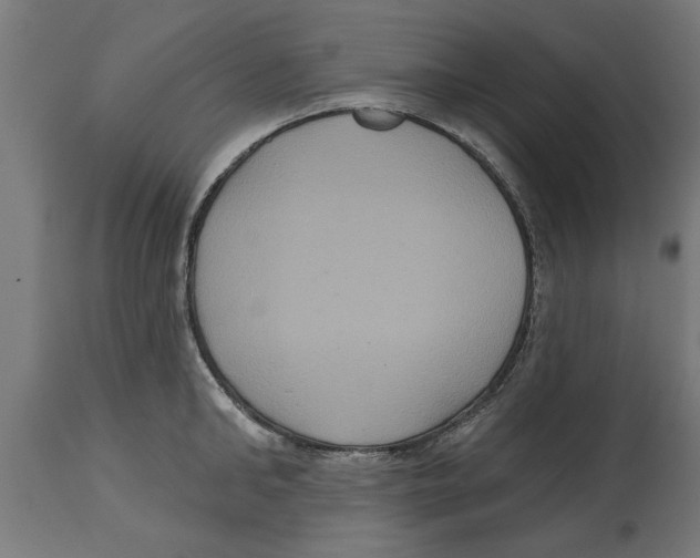 X0000114720902200911181401