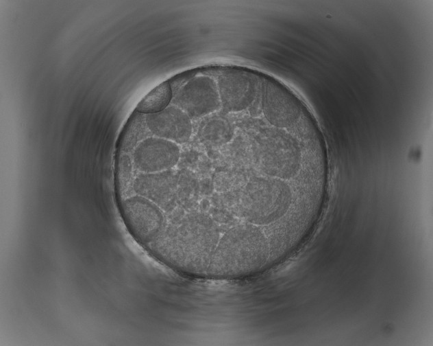 X0000114720903200911181401