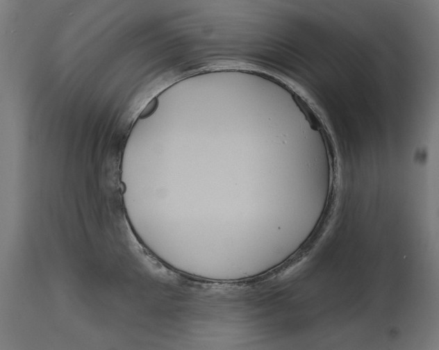 X0000114720905200911181401